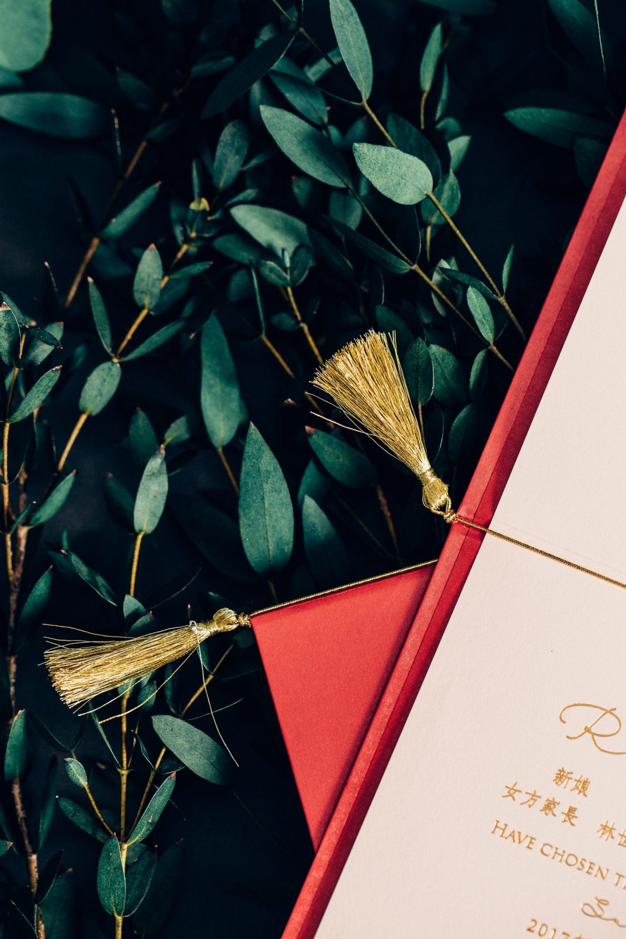 ab2ffee16b0e173e994f0cec4774aadb