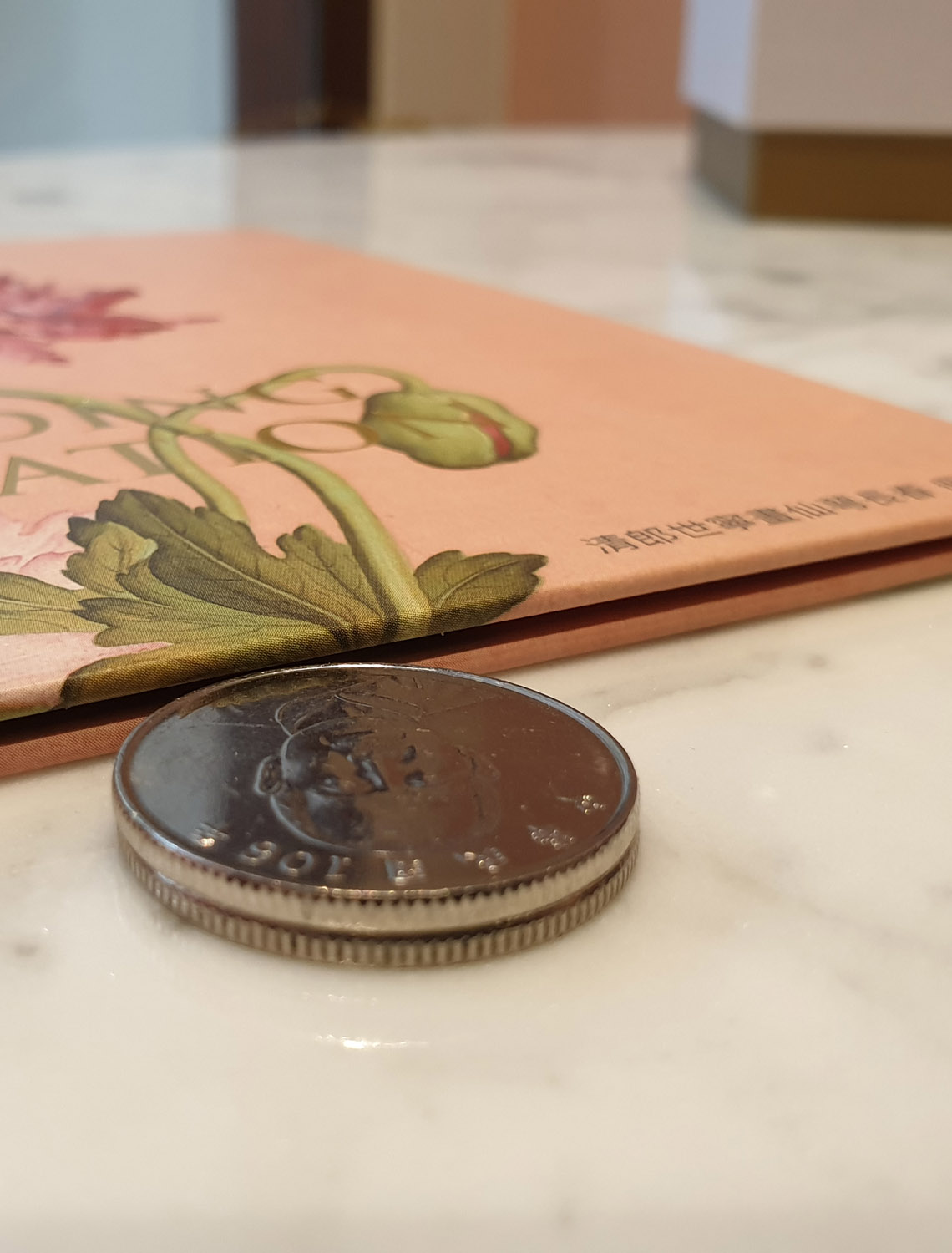 coin2